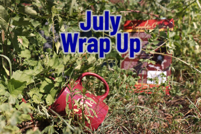 July Wrap Up